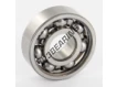 6000-SKF