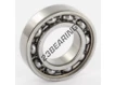 6005-C3-SKF