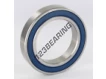 6013-2RS-INOX