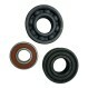 6209-ZZ-C4-VT220-250