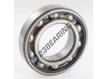 6210-C3-SKF