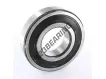 6313-2RS1-SKF