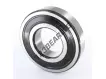 6313-2RS1-SKF