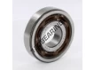 AB41055-SNR