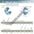 CUC206-19-SNR