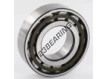 N206-ECP-SKF