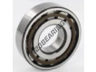 N307-ECP-SKF