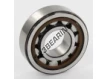 NJ204-ECP-C3-SKF