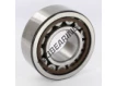NJ2309-ECP-C3-SKF