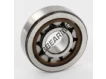 NJ303-ECP-SKF