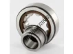 NJ303-ECP-SKF