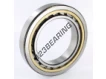NU1018-ML-SKF