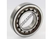 NU209-ECP-C3-SKF