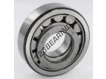 NUP307-ECJ-SKF