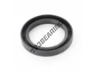 OA-60.32X85.72X12.70-NBR