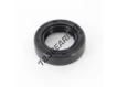 OAS-19X31X8-NBR