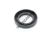 OAS-33X55X10-NBR