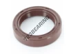 OAS-40X55X12-FPM