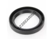 OAS-62X85X12.50-NBR