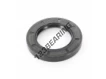 OAS-63X100X13-NBR