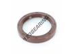 OAS-64X85X12-FPM
