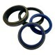 RS-20X28X5.50-7.50-FPM90