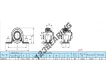 SAPP203
