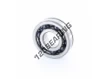 TMB305NX7V8-NTN