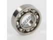 W618-6-SKF