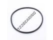 XR-202.57X6.99-NBR70-QR4445N72